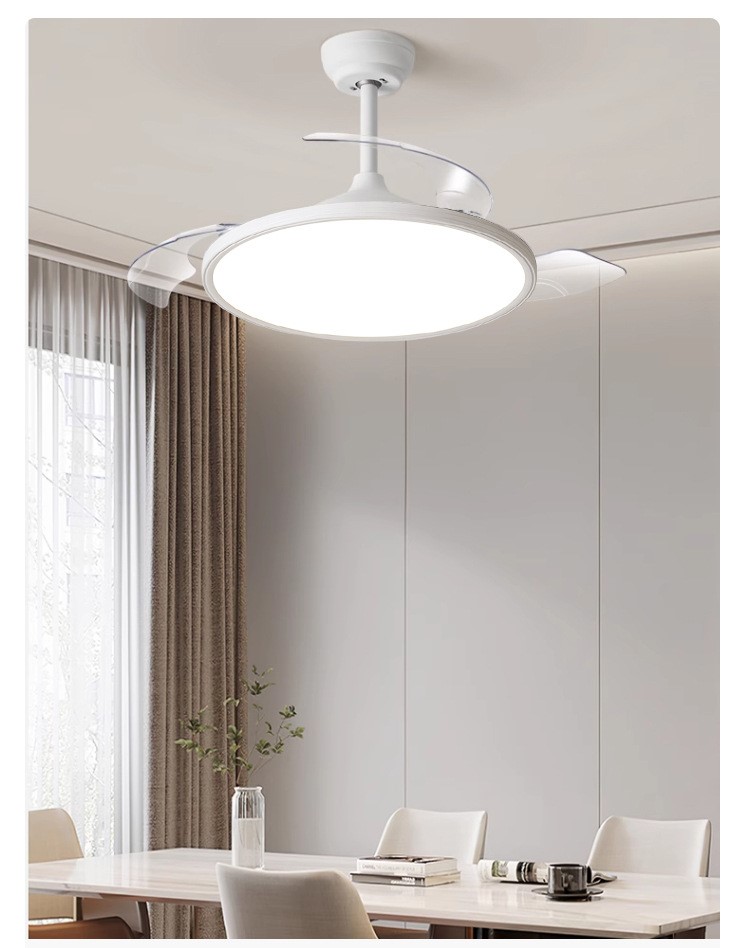 Ultra-thin invisible fan light eye protection 54
